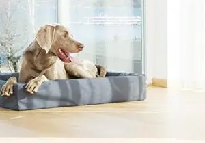 Bia Bed kunstleren hoes hondenmand grijs 120 x 100 x 15 cm – maat 7 - Afbeelding 4