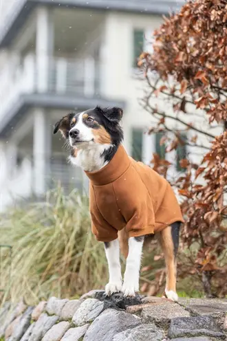 Trixie Citystyle hondentrui sweatshirt Amsterdam roest 33 cm – 100% katoen - Afbeelding 10