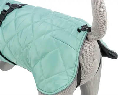 Trixie Citystyle Be Eco hondenjas Oslo jade groen 40 cm – gerecycled - Afbeelding 9