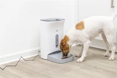 Trixie voederautomaat TX8 Smart 2.0 wit/grijs 4,5 liter – met camera en app - Afbeelding 11
