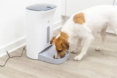 Trixie voederautomaat TX8 2.0 wit/grijs 4,5 l – 4 maaltijden per dag - Afbeelding 9