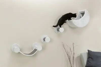 Trixie kattenklimset voor aan de muur wit/grijs – 4 klimelementen - Afbeelding 11