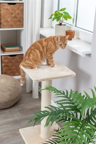 Trixie krabpaal Baena beige 69 cm – sisal, met pluche ligplaats - Afbeelding 4