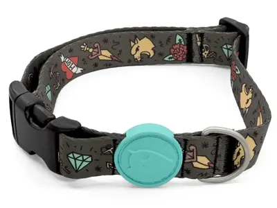 Morso hondenhalsband gerecycled Ink Tank groen 30-42 x 1,5 cm