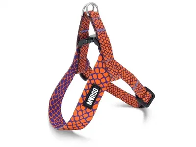 Morso mini hondentuig Urban Lizard rood 29-38 x 2,5 cm – voor kleine honden
