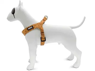 Morso mini hondentuig Jungle Drum groen 24-32 x 1,5 cm – voor kleine honden - Afbeelding 4