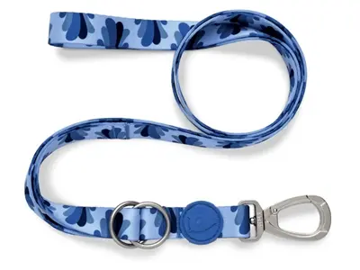Morso hondenriem verstelbaar Splash blauw 65-200 x 2,5 cm – tot 80 kg