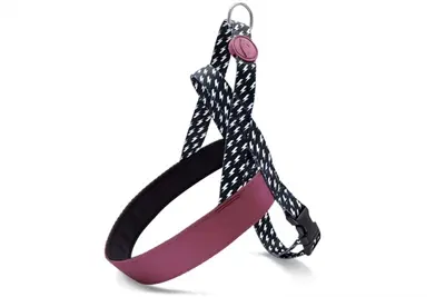 Morso hondentuig Norwegian Power Flow zwart 41-56 x 38 cm – gerecycled