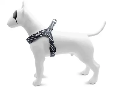 Morso mini hondentuig Power Flow zwart 32-41 x 2,5 cm – voor kleine honden - Afbeelding 4