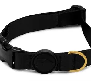 Morso hondenhalsband gerecycled Gold Caviar goud 43-70 x 2,5 cm - Afbeelding 1