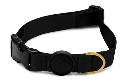 Morso hondenhalsband gerecycled Gold Caviar goud 43-70 x 2,5 cm