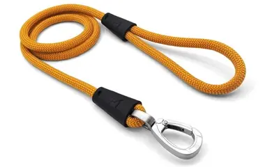 Morso hondenriem Regular Rope goud 120 x 1 cm