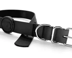 Morso halsband hond waterproof gerecycled zwart 23-31 x 1,5 cm - Afbeelding 1
