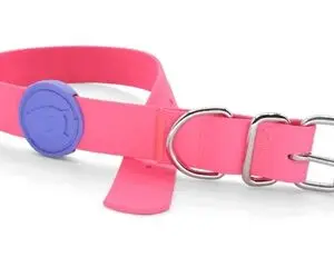 Morso halsband hond waterproof gerecycled roze 23-31 x 1,5 cm - Afbeelding 1