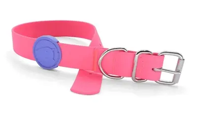 Morso halsband hond waterproof gerecycled roze 33-41 x 1,5 cm