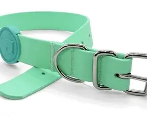 Morso halsband hond waterproof gerecycled groen 38-46 x 1,5 cm - Afbeelding 1