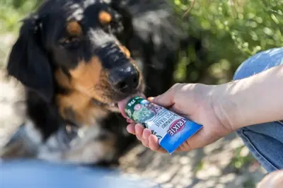 Trixie leverworst met hennep in tube 12 x 75 g – paté voor honden - Afbeelding 2