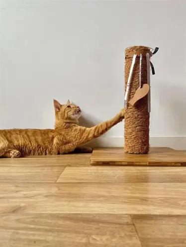 Martin Leana Kicker kattenspeelgoed met catnip 45 x 6,5 cm – gerecycled - Afbeelding 6