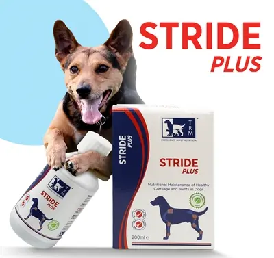 TRM Stride Plus 500 ml – kraakbeen en gewrichten bij honden - Afbeelding 6