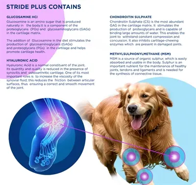 TRM Stride Plus 500 ml – kraakbeen en gewrichten bij honden - Afbeelding 7