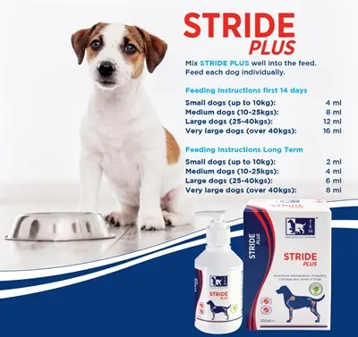 TRM Stride Plus 500 ml – kraakbeen en gewrichten bij honden - Afbeelding 8