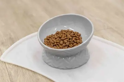 Trixie verhoogde voerbak keramiek grijs 350 ml – ergonomisch, voor honden - Afbeelding 7