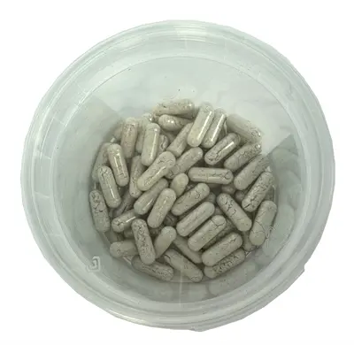 Dierendrogist probiotica capsules 60 stuks – maagsapresistent, hond - Afbeelding 4