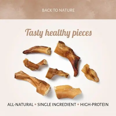 Anthos bullepeespuntjes hondensnack 500 g – 86% ruw eiwit