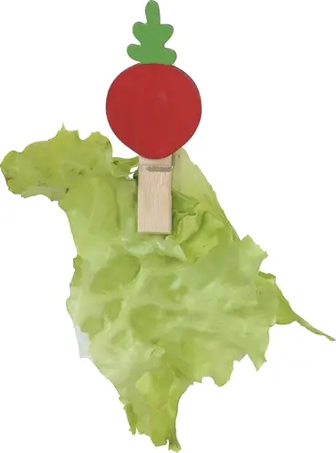Zolux Neolife snack slinger cavia blauw 150 cm – voor groente en fruit - Afbeelding 8