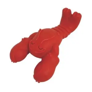 Nylabone Extreme Chew kauwspeeltje Lobster Filet Mignon S tot 11 kg - Afbeelding 1