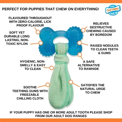 Nylabone Puppy Freezer Bone kauwspeeltje pindakaassmaak – maat M - Afbeelding 4