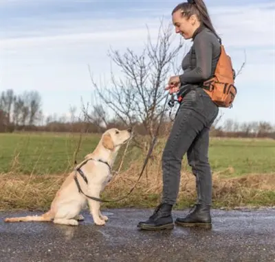 Trixie rolltop rugtas met heuptas roest – rugzak en heuptas in één - Afbeelding 10