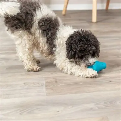 Trixie snacktol natuurrubber petrol 12 cm – 3 stuks - Afbeelding 7