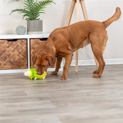 Trixie koolvarken latex lichtgroen 23 cm – hondenspeeltje met geluid - Afbeelding 6