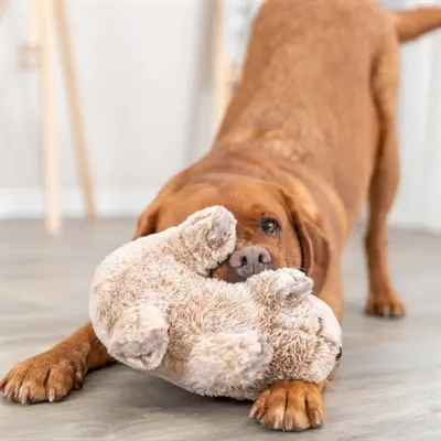Trixie wombat pluche gerecycled 25 cm – hondenknuffel zonder geluid - Afbeelding 5
