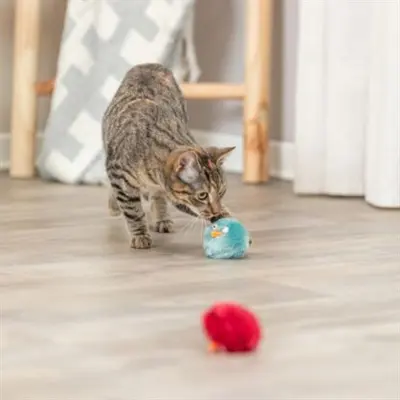 Trixie kattenspeeltje ratelbal pluche vogeltje assorti 6 cm - Afbeelding 8