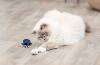 Trixie kattenspeeltje zeedier pluche met catnip assorti 5-8 cm - Afbeelding 6