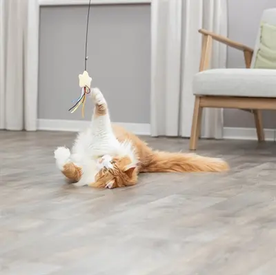 Trixie kattenhengel ster van kunststof en pluche met catnip 46 cm - Afbeelding 5