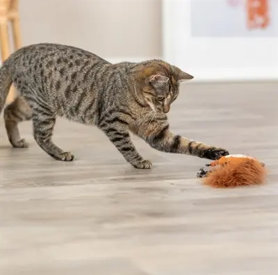 Trixie eekhoorn van pluche met veerstaart en catnip 24 cm - Afbeelding 5