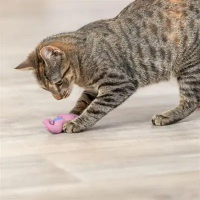 Trixie kattenspeeltje zeepaard pluche met catnip assorti 11 cm - Afbeelding 8