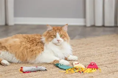 Trixie kattenspeeltje muis pluche met catnip 25 cm – assorti - Afbeelding 2