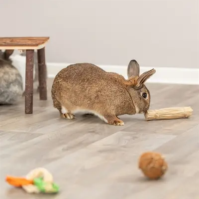 Trixie grasspeelgoed met jute 16 x 3,5 x 3,5 cm – voor knaagdieren - Afbeelding 5