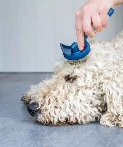 Mikki Doodle slickerborstel – ergonomische borstel voor doodles - Afbeelding 8