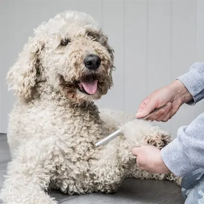 Mikki Doodle grooming kit met kam en slickerborstel – 2-delig - Afbeelding 8