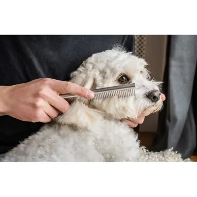 Mikki Doodle grooming kit met kam en slickerborstel – 2-delig - Afbeelding 9