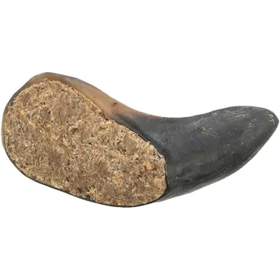 Trixie buffelhoorn gevuld met buffelpees 10-14 cm – kauwsnack, 6 stuks - Afbeelding 2