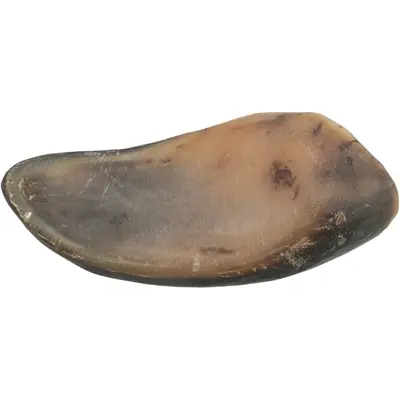 Trixie buffelhoorn gevuld met buffelpees 10-14 cm – kauwsnack, 6 stuks - Afbeelding 3