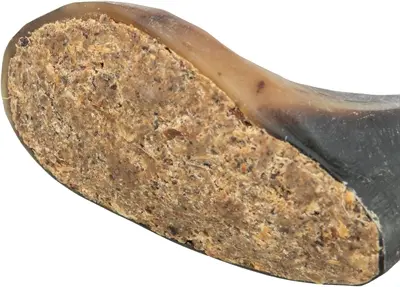 Trixie buffelhoorn gevuld met buffelpees 10-14 cm – kauwsnack, 6 stuks - Afbeelding 4