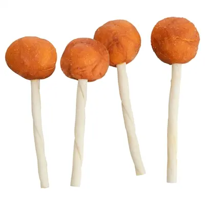 Trixie Premio Lolly kabeljauw 9 cm – hondensnack, 60 stuks