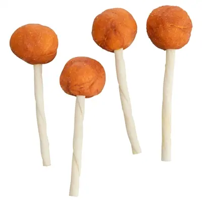 Trixie Premio Lolly kabeljauw 9 cm – hondensnack, 60 stuks - Afbeelding 4